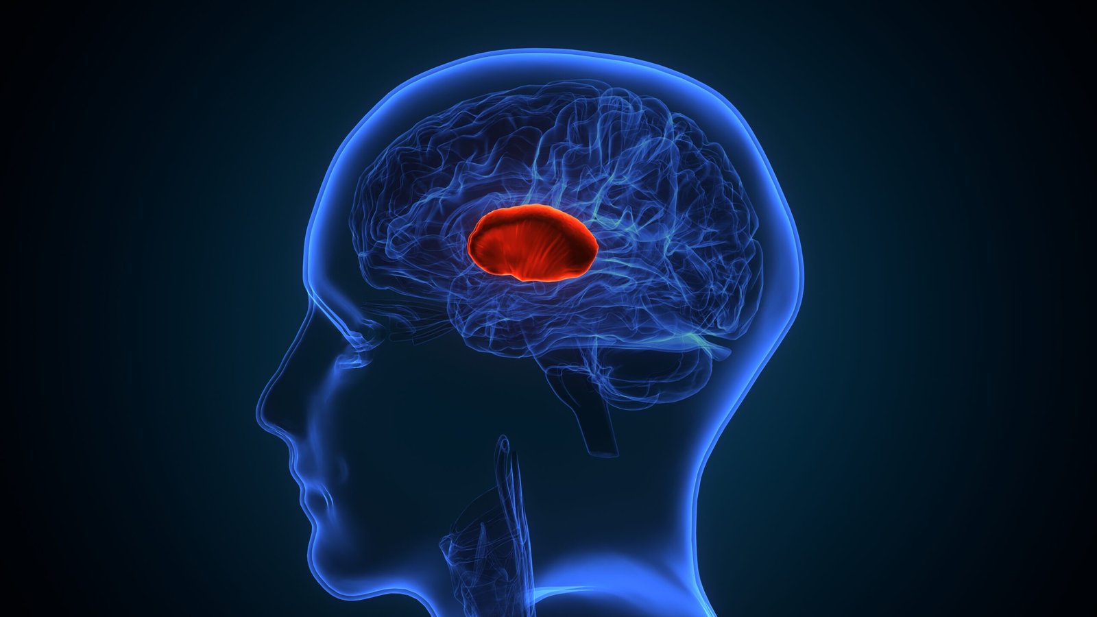 Όγκος του Εγκεφάλου: Τι Είναι και Ποιοι Τύποι Όγκων Εμφανίζονται στον Εγκέφαλο