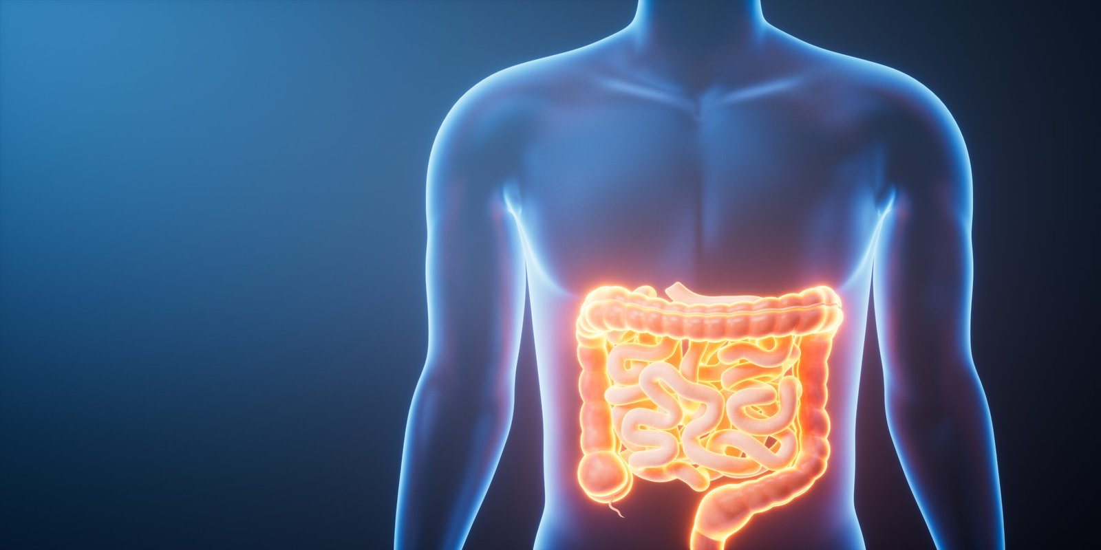 Παθήσεις Παχέος Εντέρου: Συμπτώματα, Αίτια και Σύγχρονες Θεραπείες