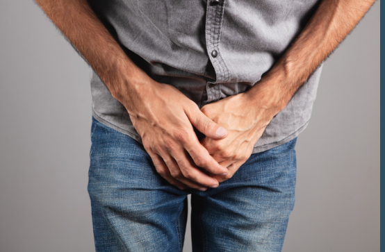 βραχύς χαλινός